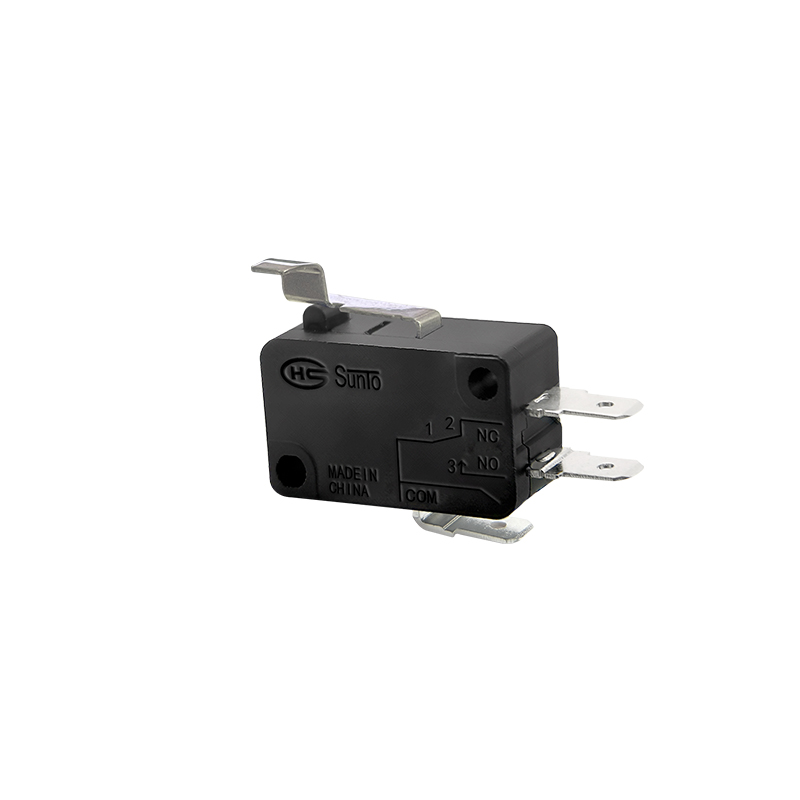 Micro Switch_0009_V-16-1B1-R07P01