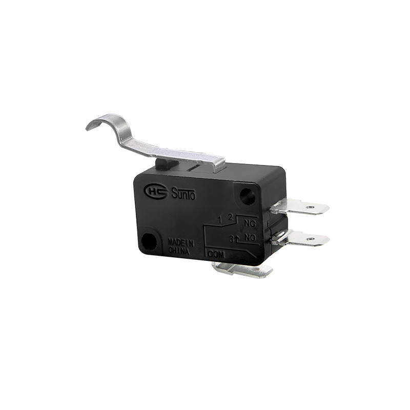Micro Switch_0011_V-16-1B1-R05P01