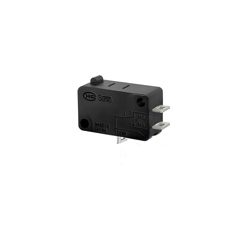 Micro Switch_0019_V-16-1K-P01