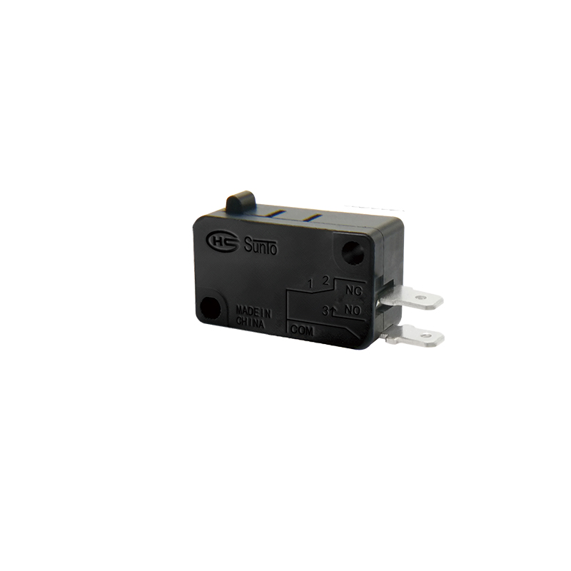 Micro Switch_0020_V-16-1D-P01