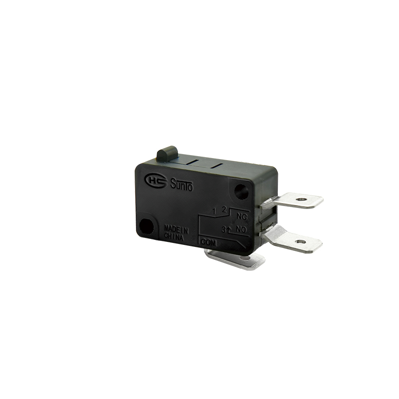 Micro Switch_0021_V-16-1C-P01